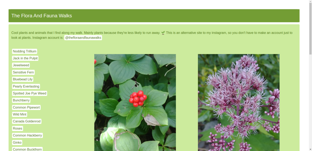 FloraAndFaunaWalksWebsite.png